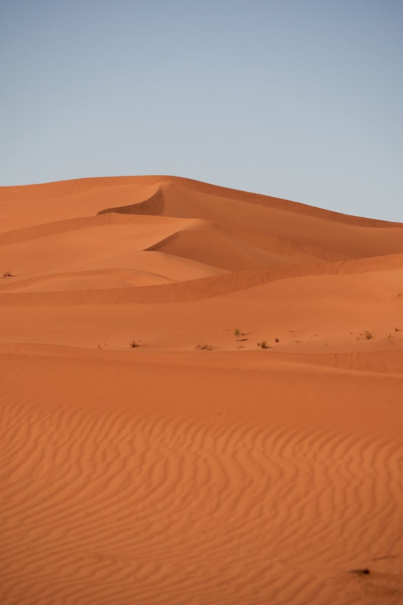 Desert Landscape in Morocco